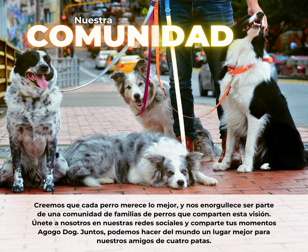 quienes somos