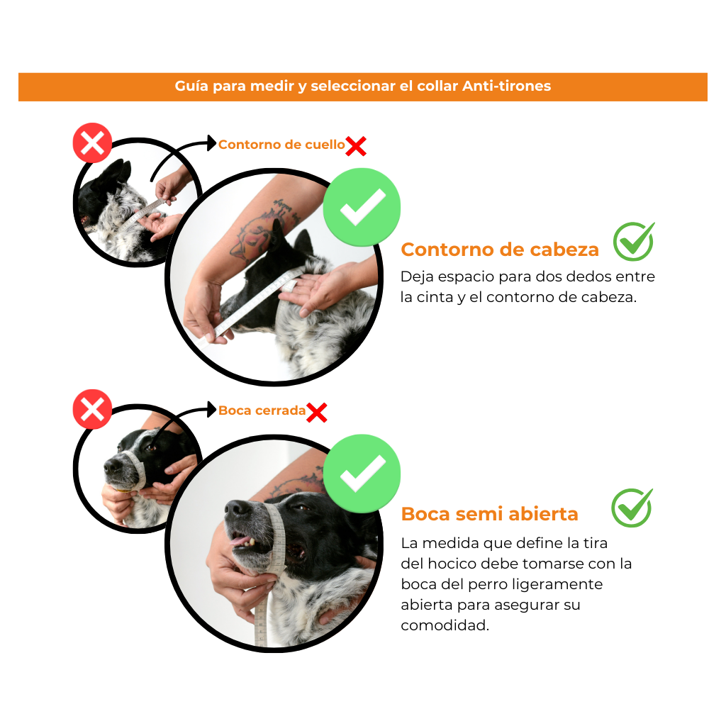 toma de medidas