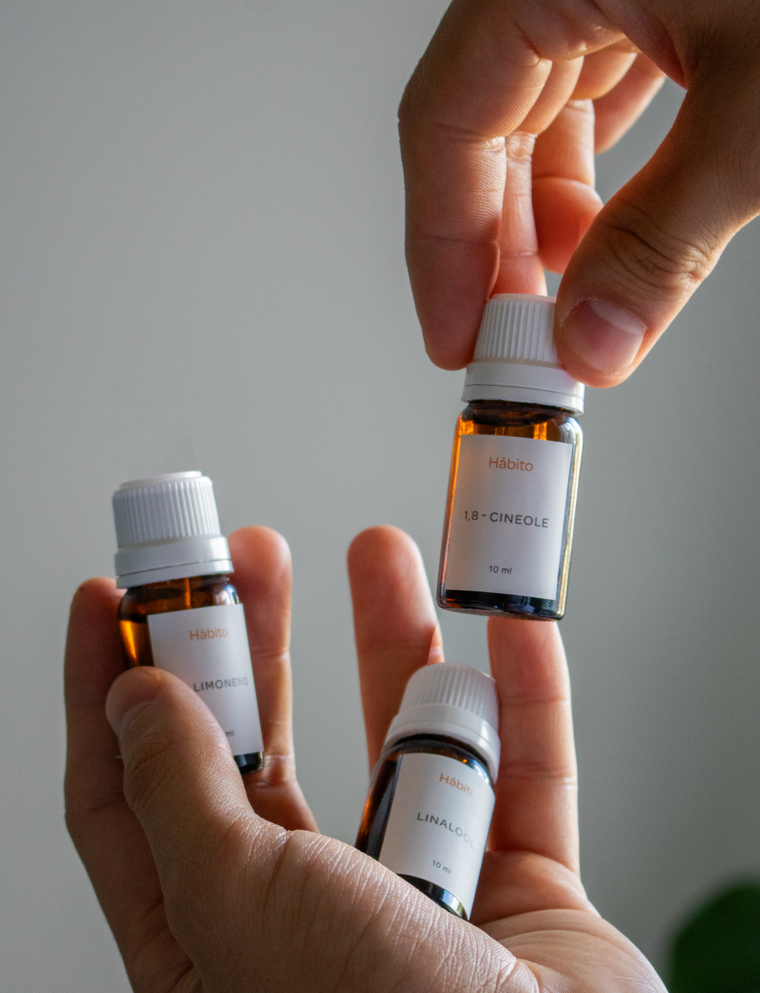 Terpenos seleccionados en las manos