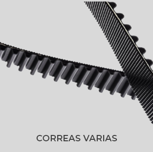 CORREAS VARIAS
