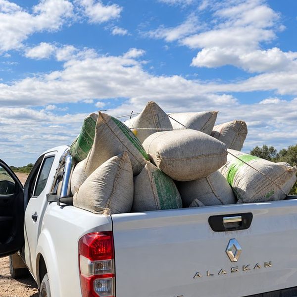 Traslado de la materia prima desde el campo