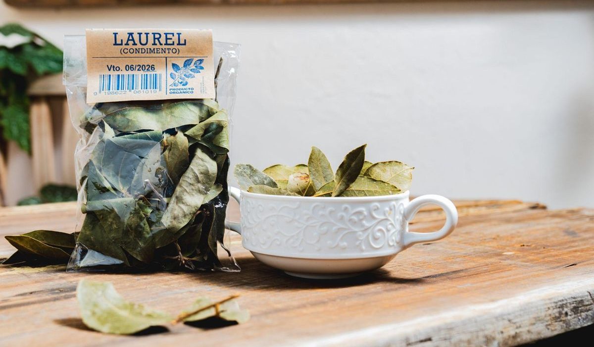 Hoja entera y verde