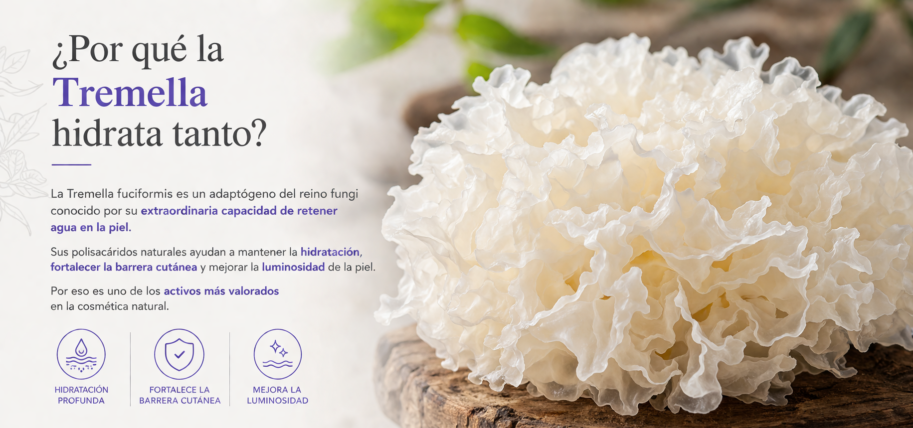 beneficios del gel de tremella