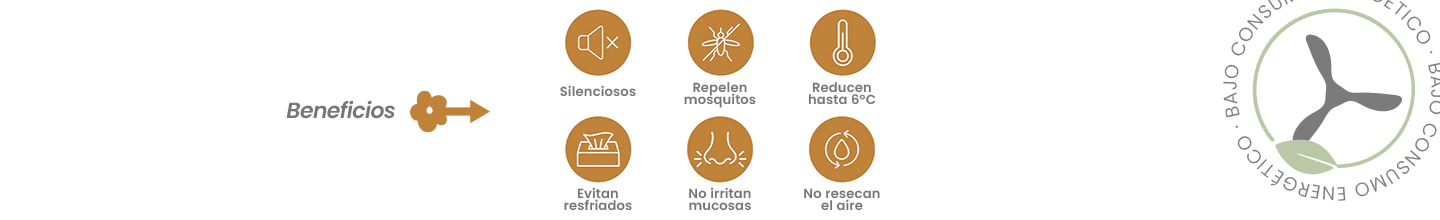 Banner de la categoría Fan Collection 