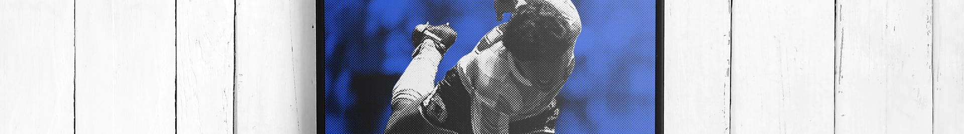 Banner de la categoría CUADROS