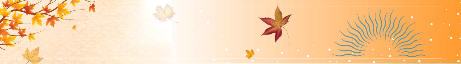 Banner da categoria COLEÇÃO SOLARIS
