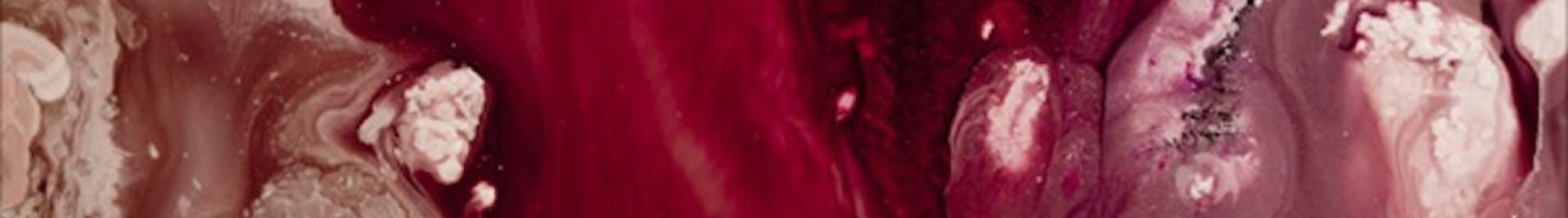 Banner da categoria Frutadas