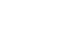 Lion Sun