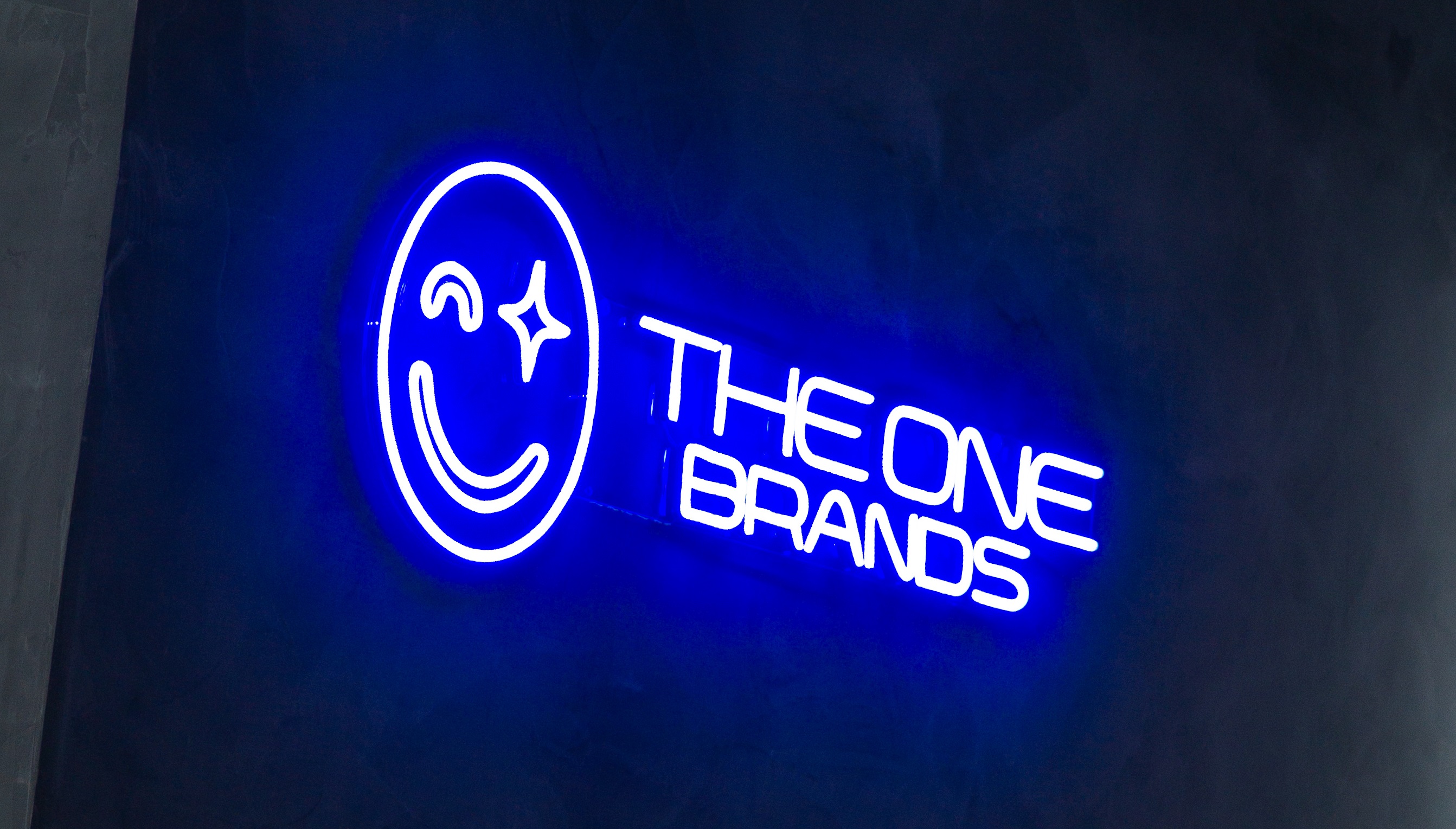 Foto do Letreiro Iluminado The One Brands