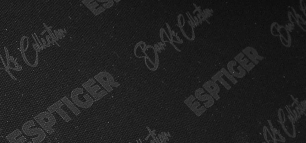 ESPTIGER y James “BanKs” Banks by Hit Gaming