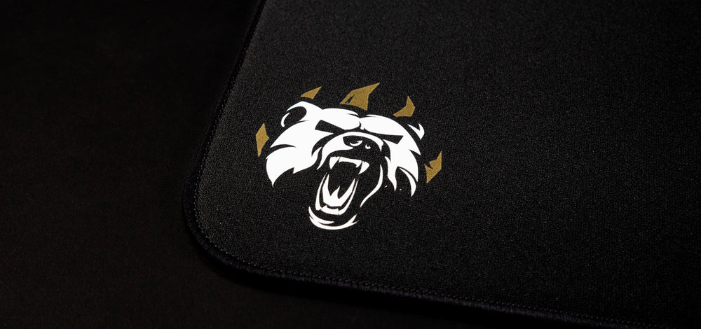 ESPTIGER y James “BanKs” Banks by Hit Gaming