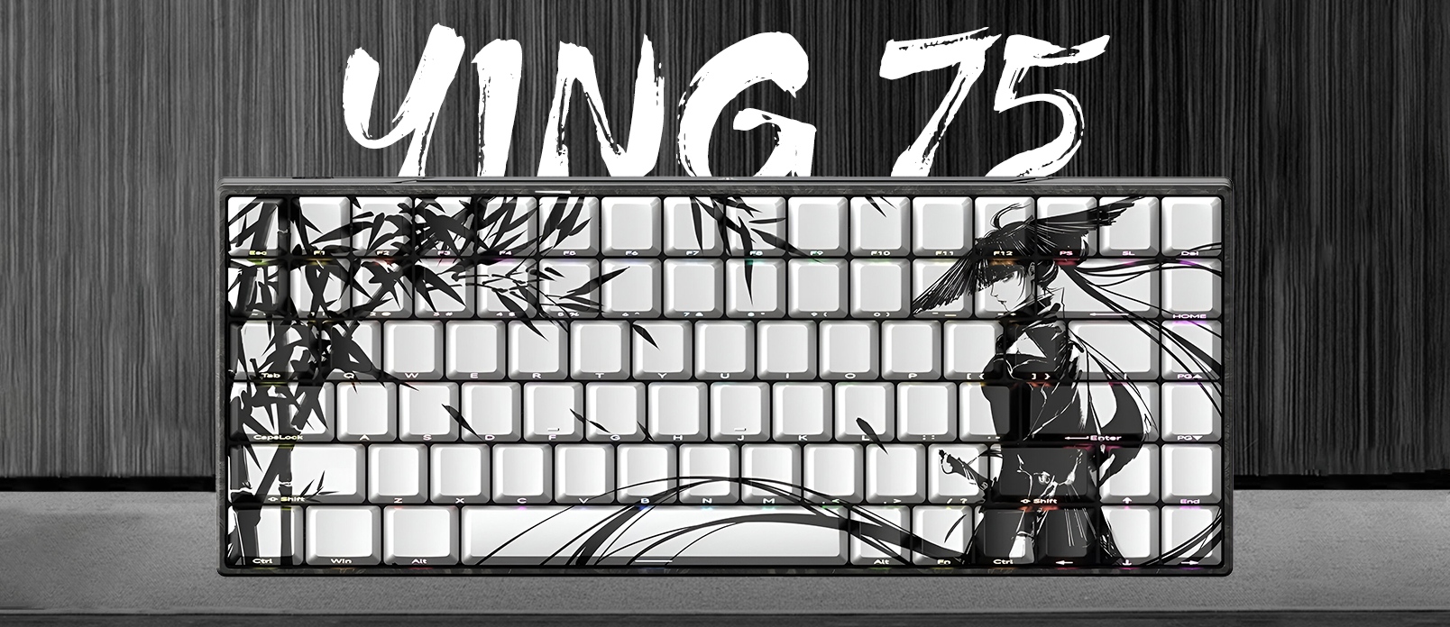 WLmouse Ying 75 by Hit Gaming