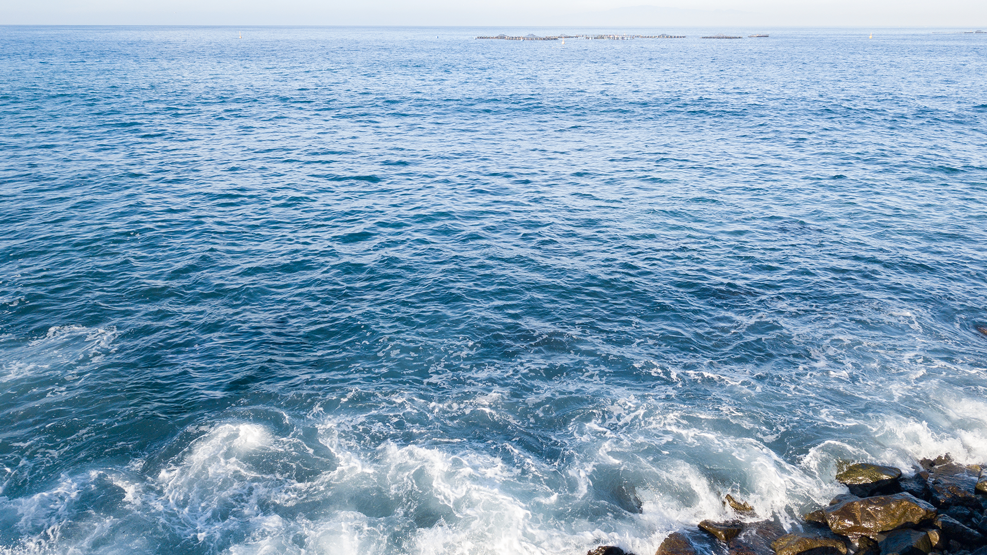 Ocean Breeze