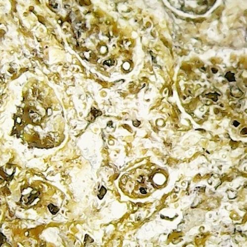 Ambergris