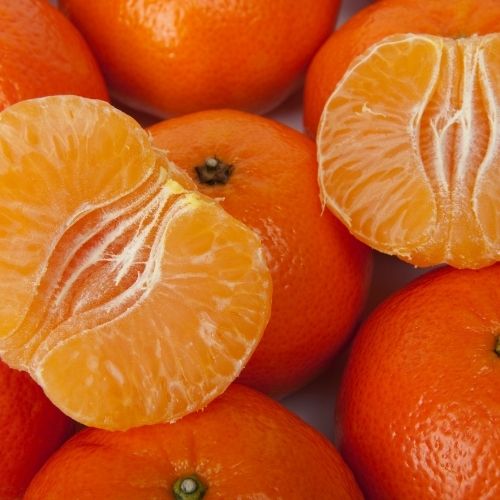 Bergamota