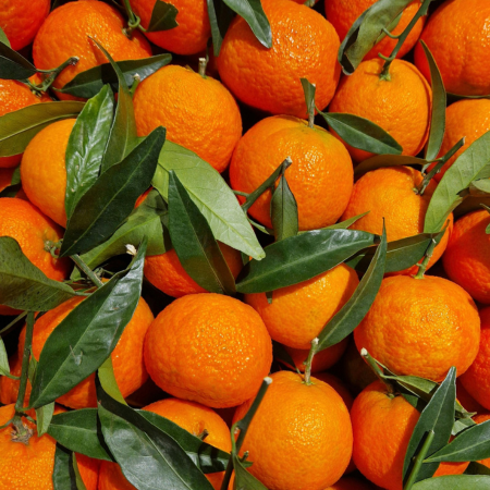 Mandarina