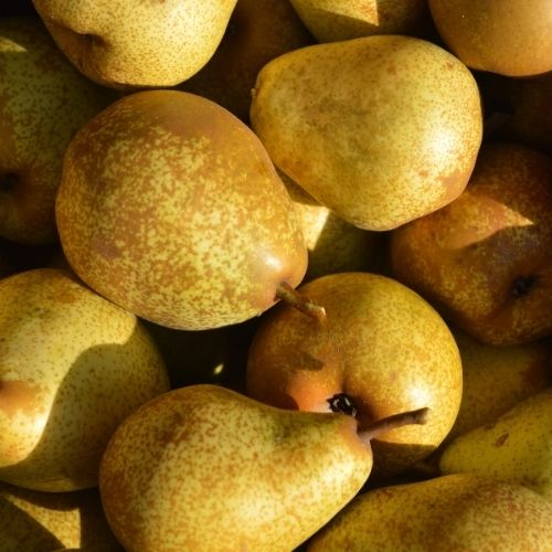 Pear, top fragrance note