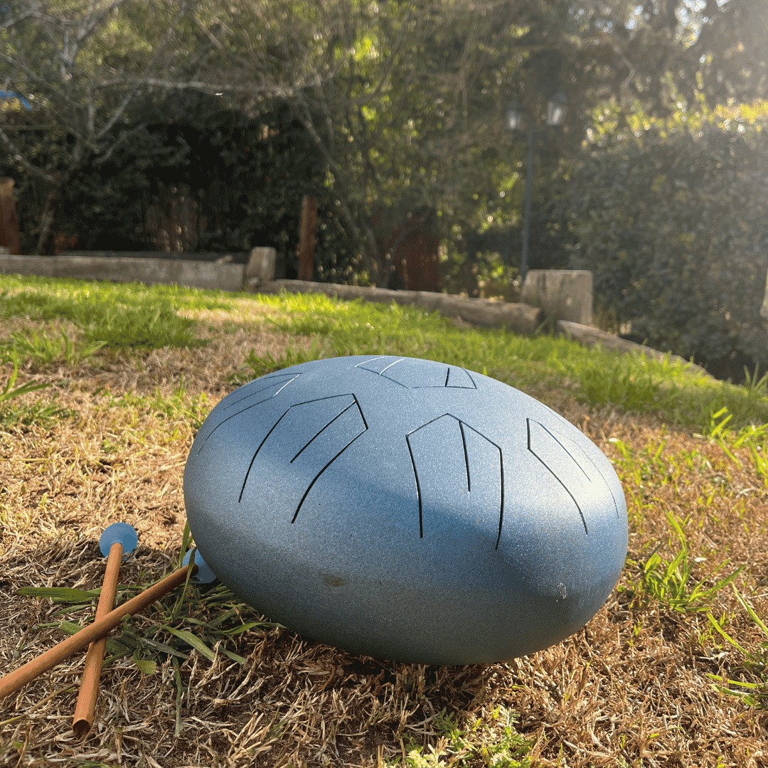 Tankdrum en el parque