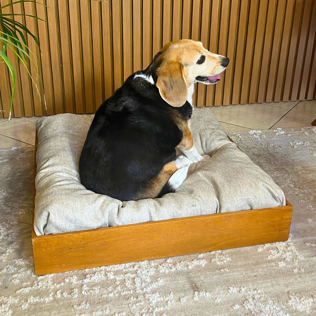 Caminha para pets