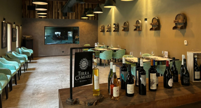 Bodega Terra Camiare