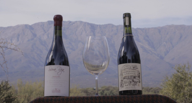el camino del vino en córdoba