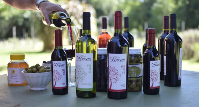 la ruta del vino en córdoba
