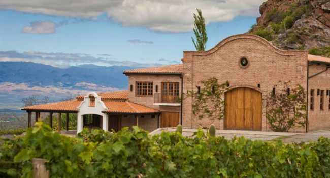 Nebula Wines Bodega La ruta del vino