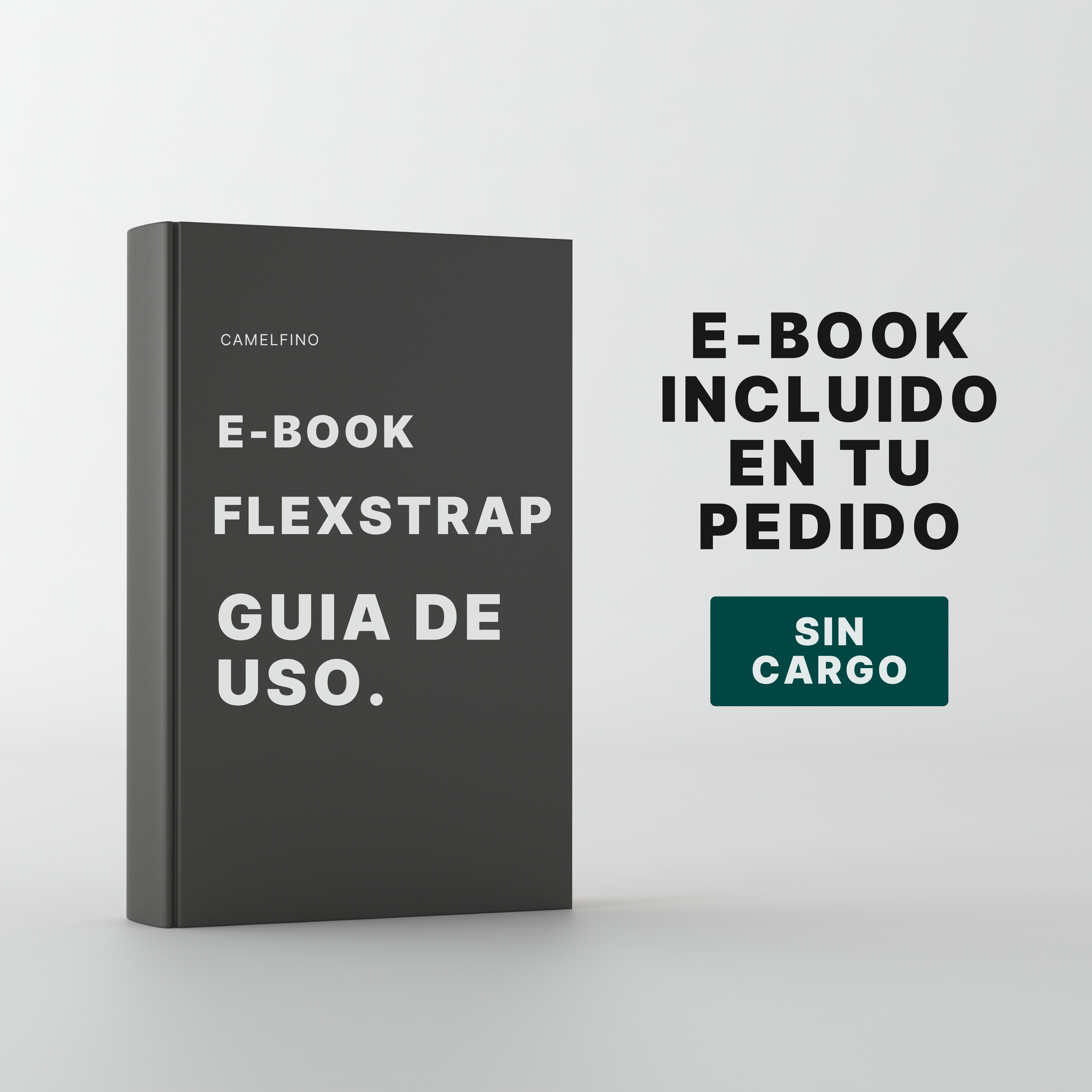 Plan de 21 d&iacute;as FlexStrap en PDF