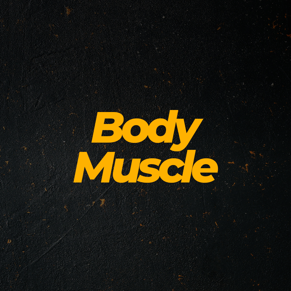Body Muscle.webp