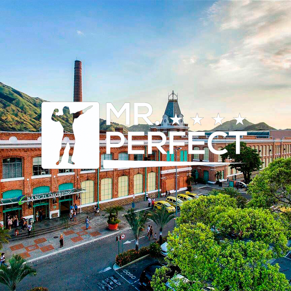 Mr. Perfect 2026.webp
