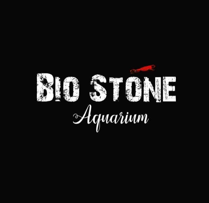 Bio Stone