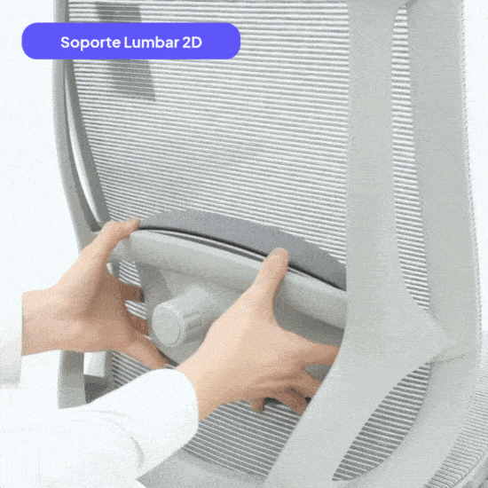 Soporte lumbar 2D ajustable