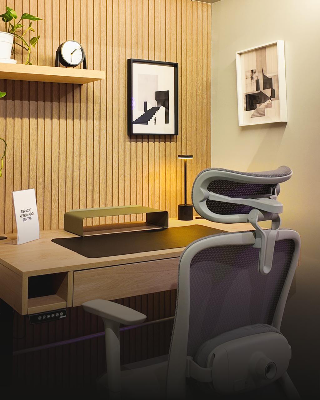 Setup completo Zentra