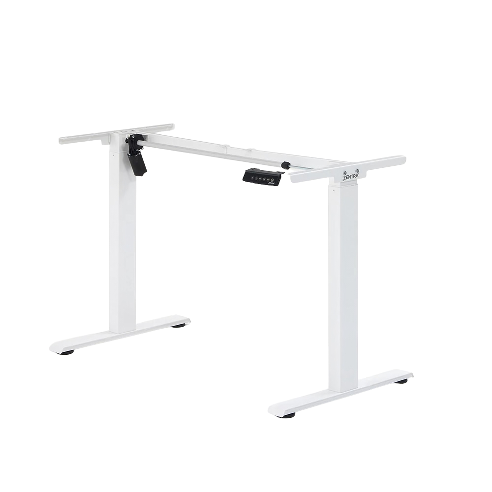 Standing Desk Z10 Pro