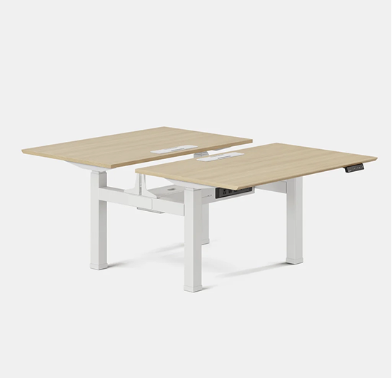 Bienestar laboral Z20 B2B