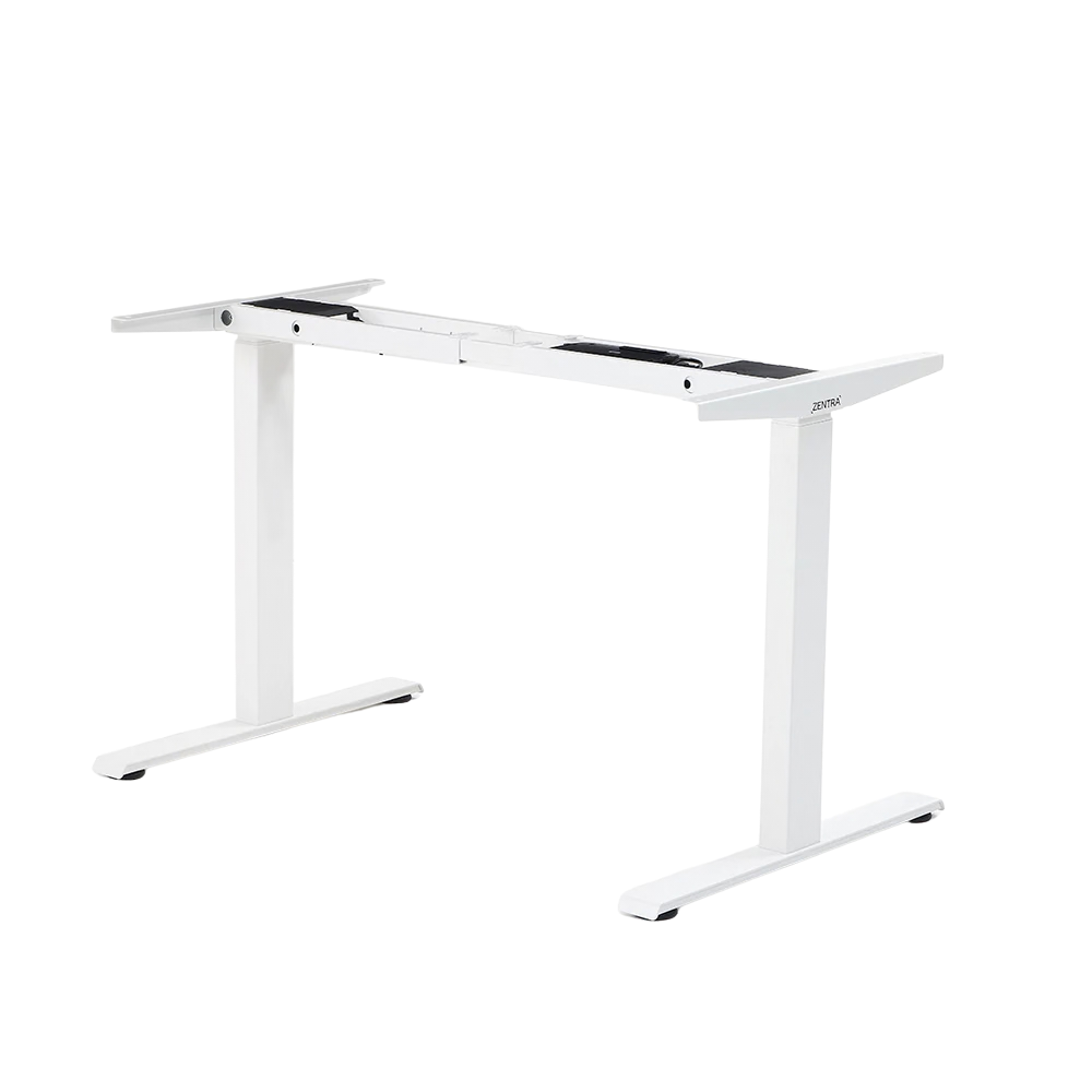 Standing Desk Z20 Pro