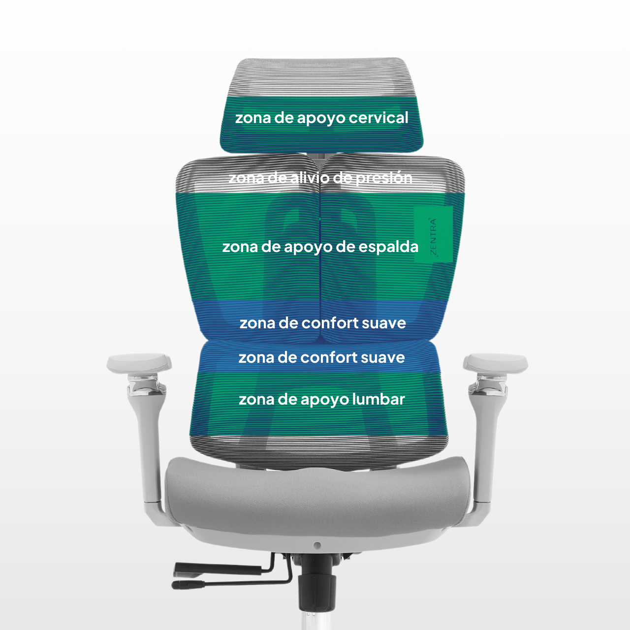 Zenith áreas de espalda multizona