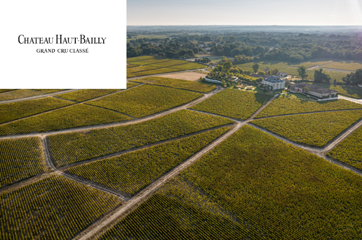 Vinícola Château Haut-Bailly