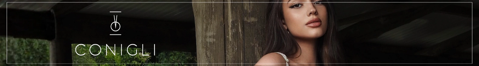 Banner da categoria SAIA