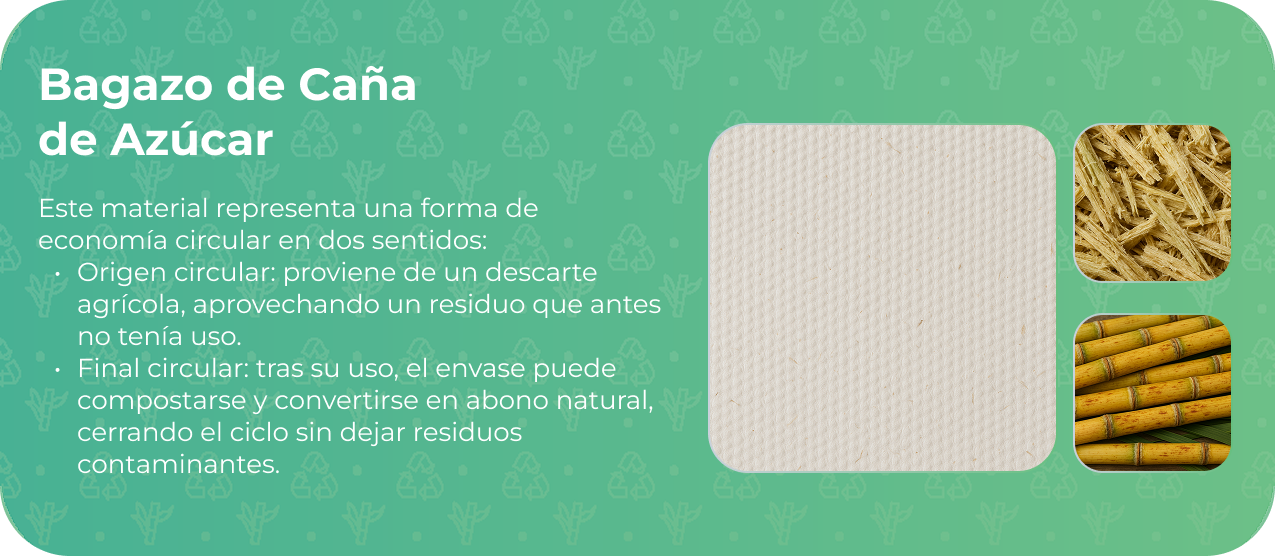 Bagazo Info