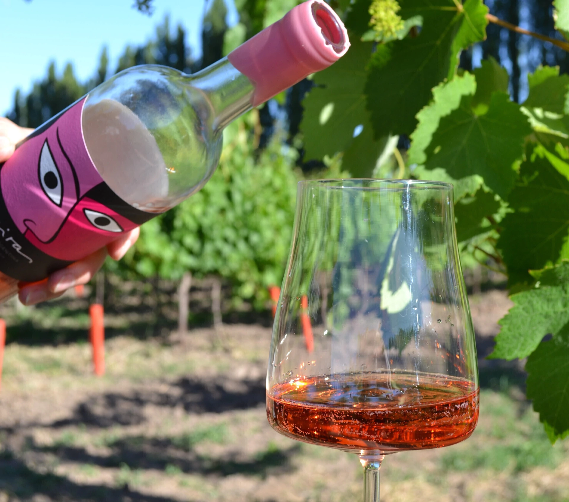 Banner de la categoría Miras Livianos