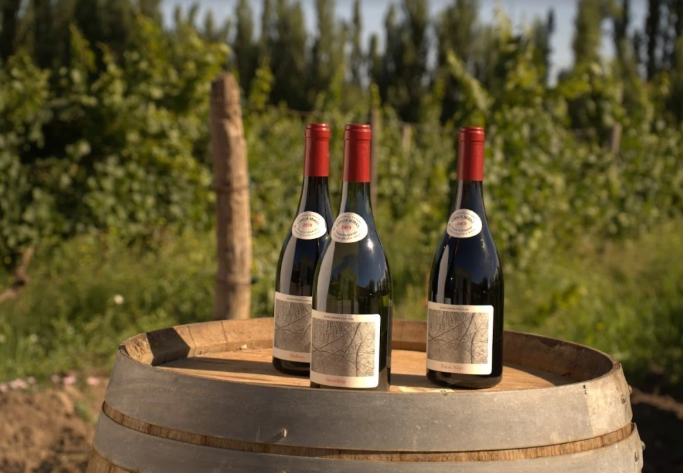 Banner de la categoría Familia Miras