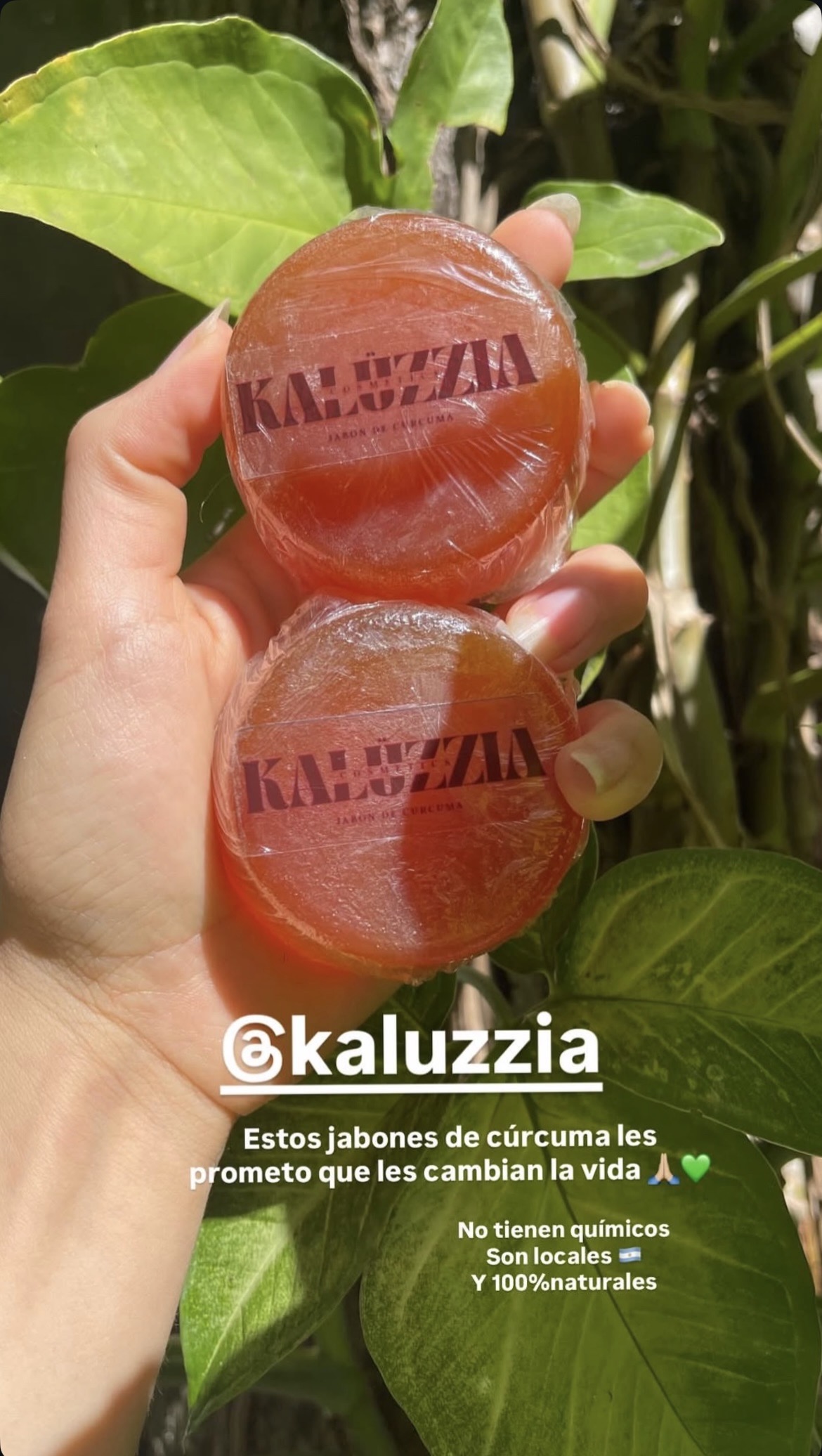 Testimonio Kalüzzia 9