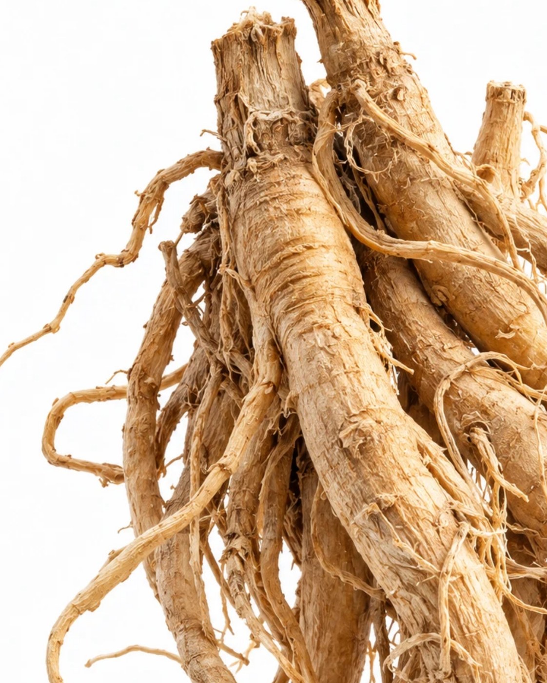 Ashwagandha · NAXA Labs