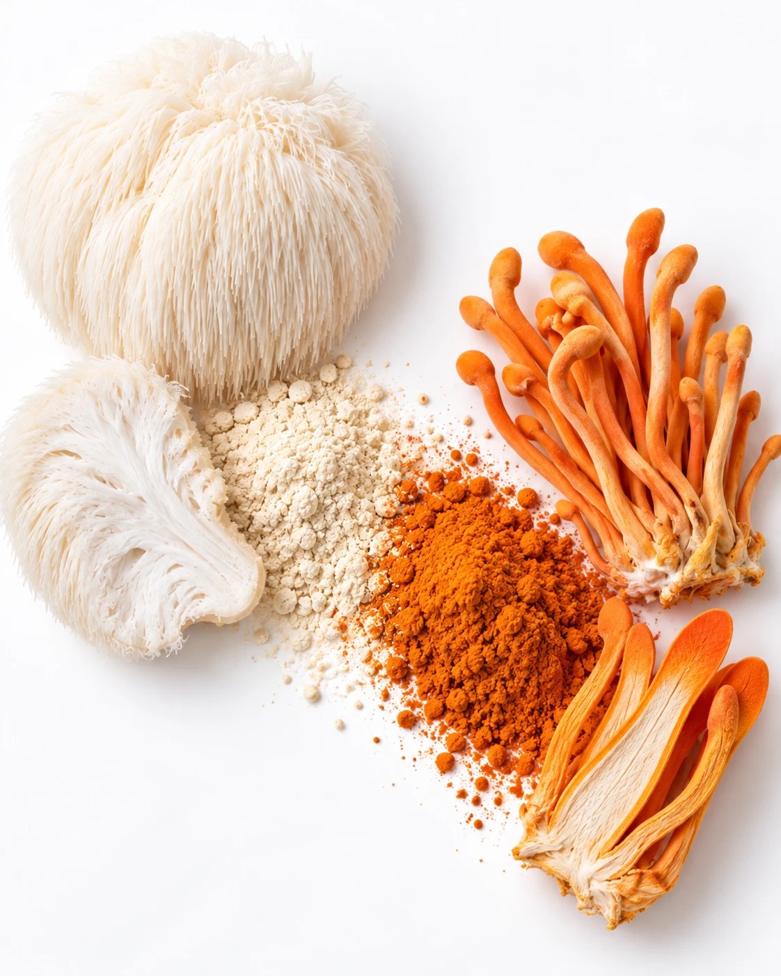 Los dos ingredientes del kit FOCUS