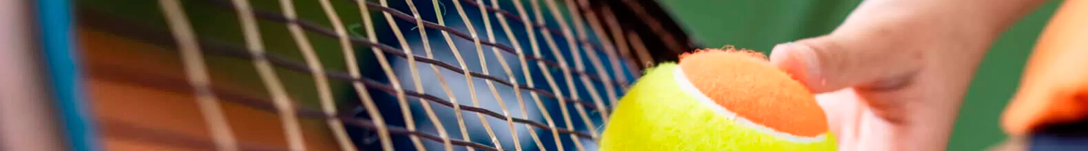 Banner da categoria CORDAS