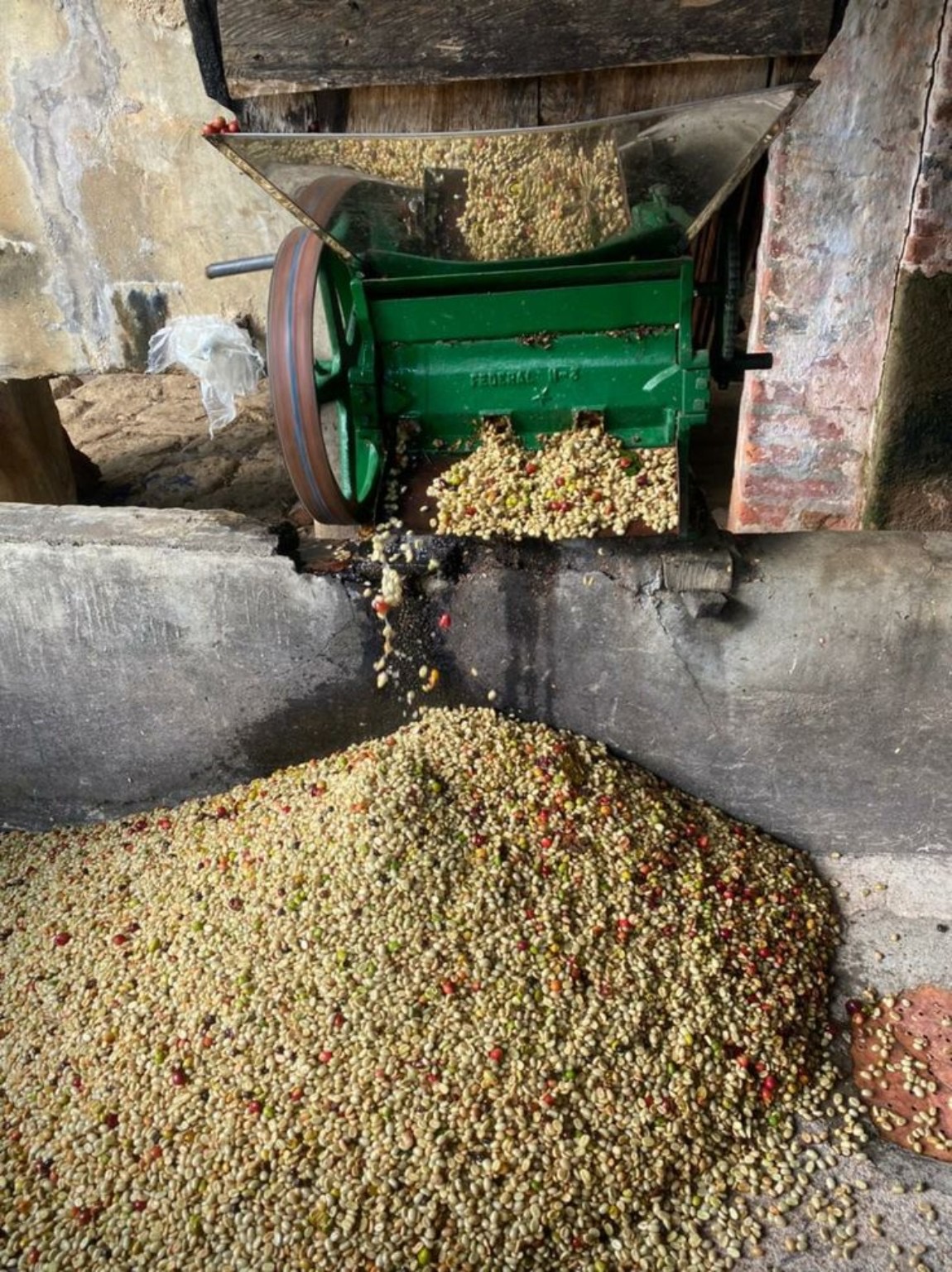 Despulpado y beneficio del café en origen