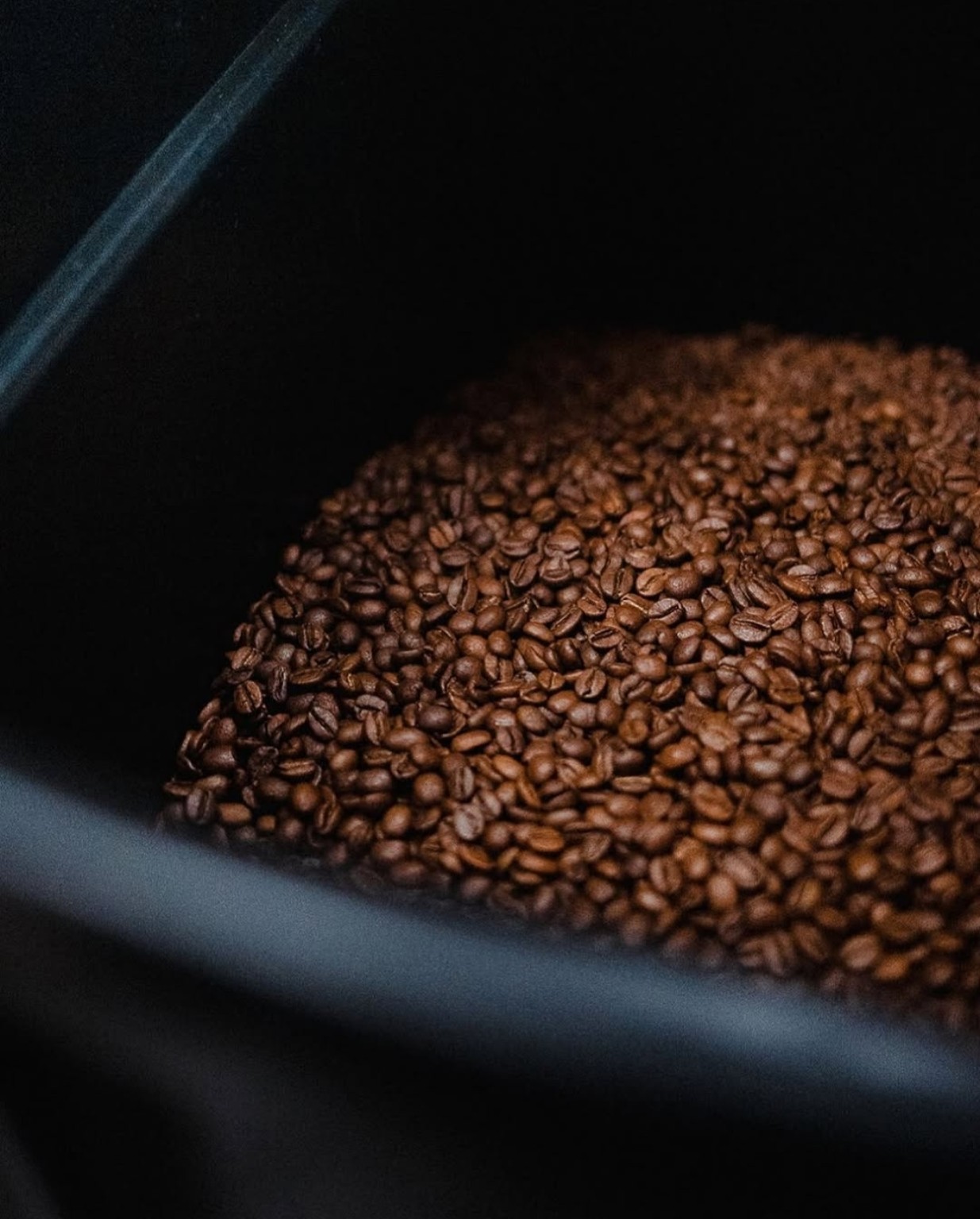 Reposo del café tostado Tintico