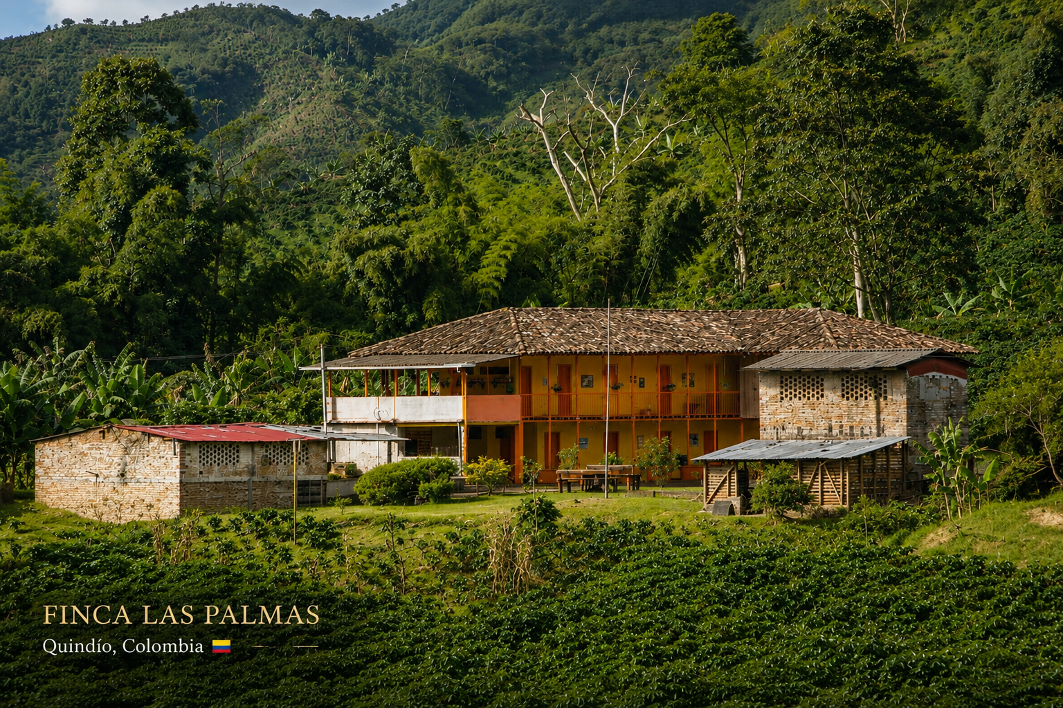 Finca Las Palmas en Quindío Colombia