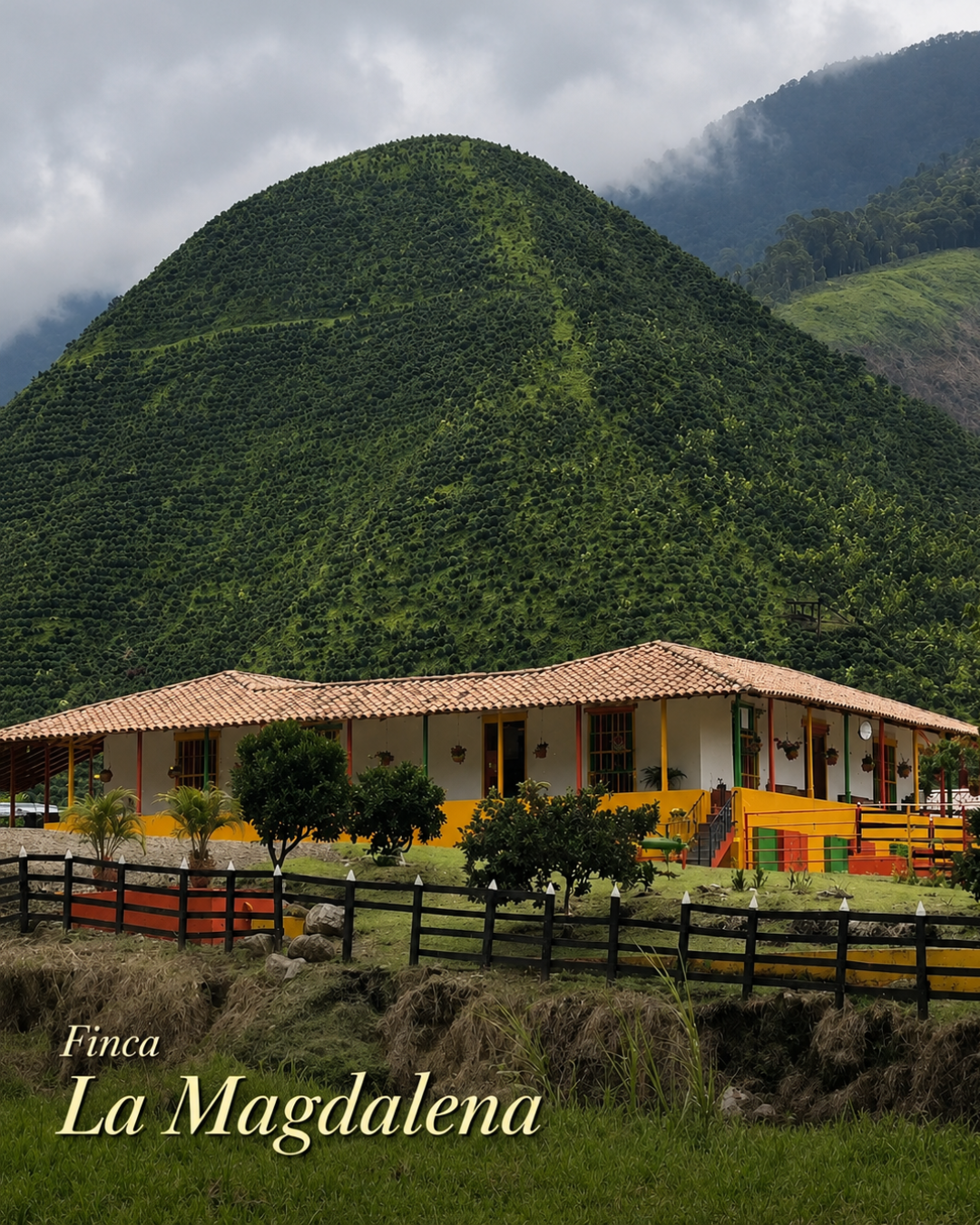 Finca La Magdalena Santa Marta
